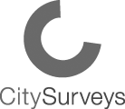 The City Surveys Group