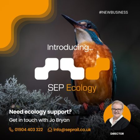 Promotional image for SEP Ecology featuring a kingfisher with colorful plumage sitting on a branch, alongside contact information for ecology support services and a photo of an individual labeled as a director.